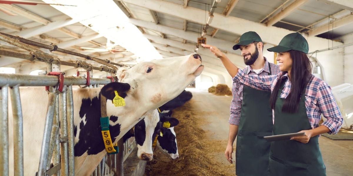 Использование технологии RFID для точного земледелия.